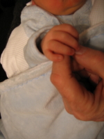 Little Fingers0001_11_1.JPG 